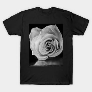 Black and white rose. T-Shirt